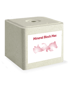 Lizawka solna MINERAL MAX Qemetica Ciech kostka 10 kg