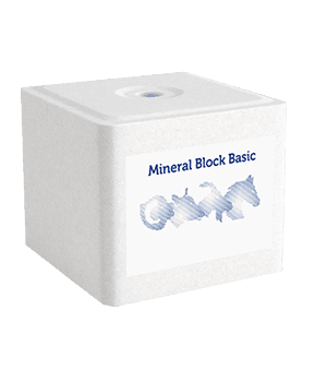 Lizawka solna MINERAL BLOCK BASIC Qemetica Ciech kostka 10 kg